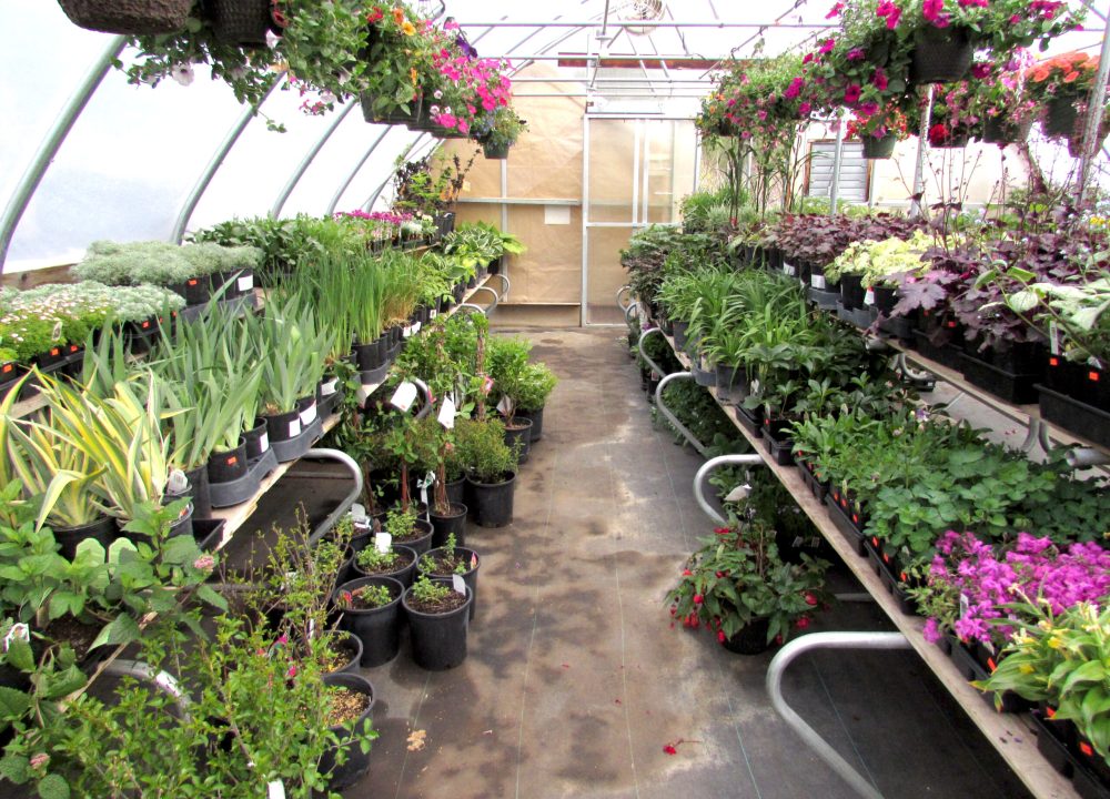 nursery_IMG_2733