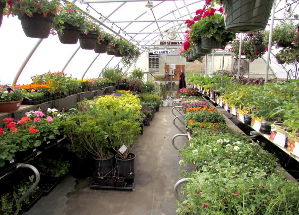 nursery_IMG_2735