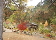 vrbo cabin path