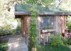 vrbo small cabin